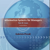 Information Systems for Managers: Text and Cases 2nd Edition