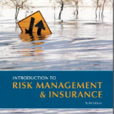 Introduction to Risk Management and Insurance 10th Edition