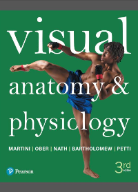 (eBook PDF) Visual Anatomy & Physiology 3rd Edition Pdf Download