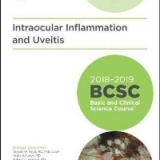 (eBook PDF)2018-2019 BCSC (Basic and Clinical Science Course), Section 09 Intraocular Inflammation and Uveitis by American Academy of Ophthalmology