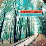 (eBook PDF)Beginning algebra by John Hornsby; Terry McGinnis; Margaret L. Lial