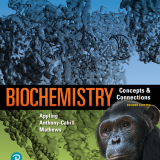 (eBook PDF)Biochemistry: Concepts and Connections, 2nd Edition by Dean R. Appling , Spencer J. Anthony-Cahill , Christopher K. Mathews  Pearson; 2 edition (Jan. 5 2018)