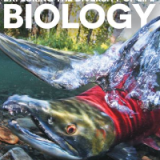 (eBook PDF)Biology: Exploring the Diversity of Life, 4th Canadian Edition, Volume 1-3 by Peter Russell
