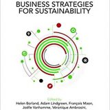 (eBook PDF)Business Strategies for Sustainability by Helen Borland , Adam Lindgreen , Francois Maon , Véronique Ambrosini , Beatriz Palacios Florencio , Joelle Vanhamme