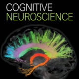 (eBook PDF)Cognitive Neuroscience 4th Edition  by Marie T. Banich , Rebecca J. Compton