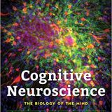 (eBook PDF)Cognitive Neuroscience The Biology of the Mind 5th Edition by Michael Gazzaniga , Richard B. Ivry , George R. Mangun Ph.D.