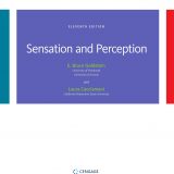 (eBook PDF)Sensation and Perception 11th Edition by E. Bruce Goldstein