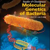 (eBook PDF)Snyder and Champness Molecular Genetics of Bacteria 5th Edition by  Tina M. Henkin, Joseph E. Peters