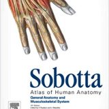 (eBook PDF)Sobotta Atlas of Anatomy, Volume 1.2.3, 15th Edition by Friedrich Paulsen , Jens Waschke , Sabine Hombach-Klonisch (Translator), Thomas Klonisch (Translator)