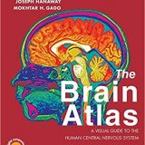 (eBook PDF)The Brain Atlas, 4th Edition by Thomas A. Woolsey , Joseph Hanaway , Mokhtar H. Gado